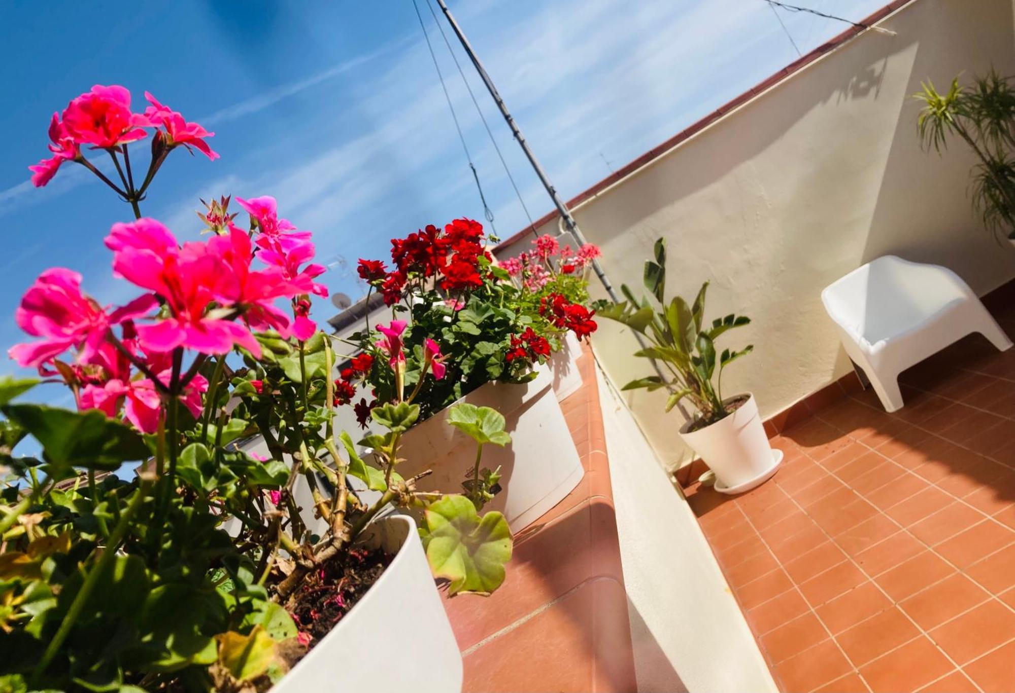 Lavica Di Mezzo Apartments Catania Esterno foto